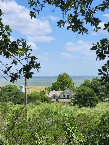 a vase of flowers sitting on a table with a garden