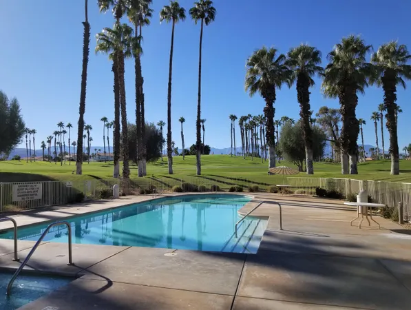 a view of a park with palm trees