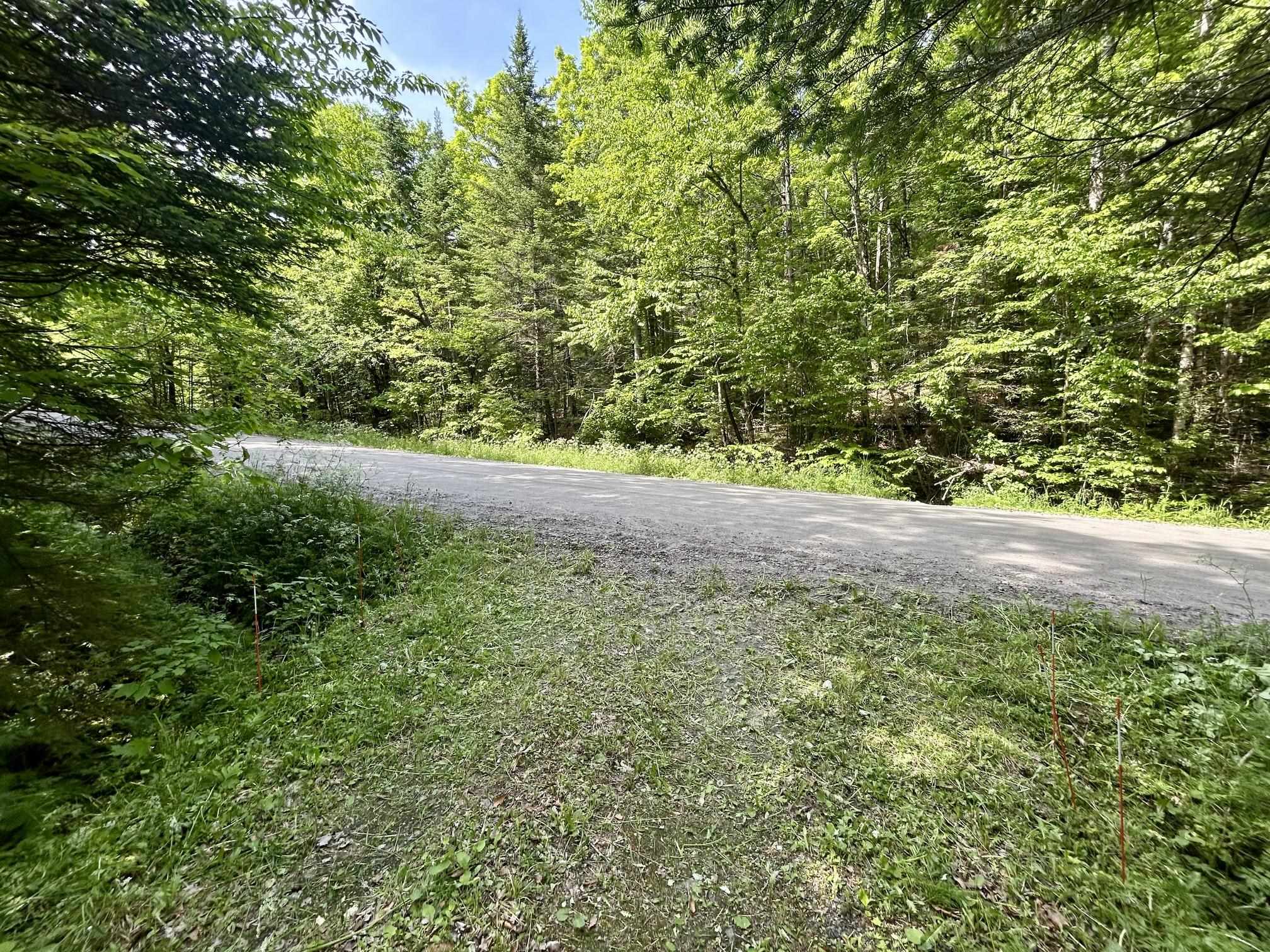 0 Williamstown Road Chelsea, VT 05038 - Photo 4 of 22