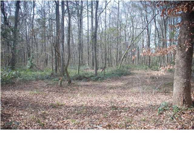 737 Van Dyke Road Cottageville, SC 29435 - Photo 11 of 23 Additional Photo