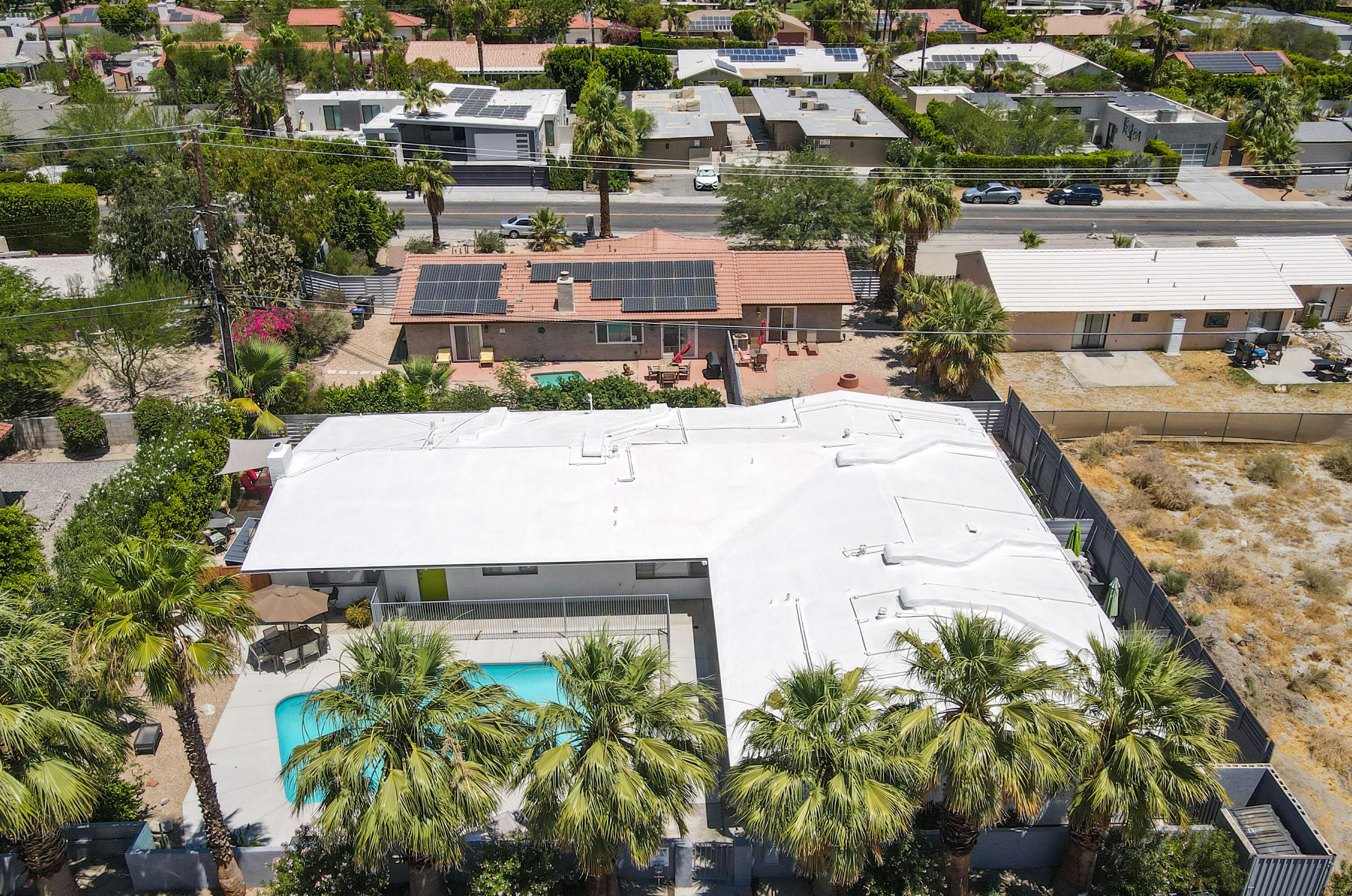 482 West Pico Road Palm Springs, CA 92262 - Photo 67 of 67 Mature Palms