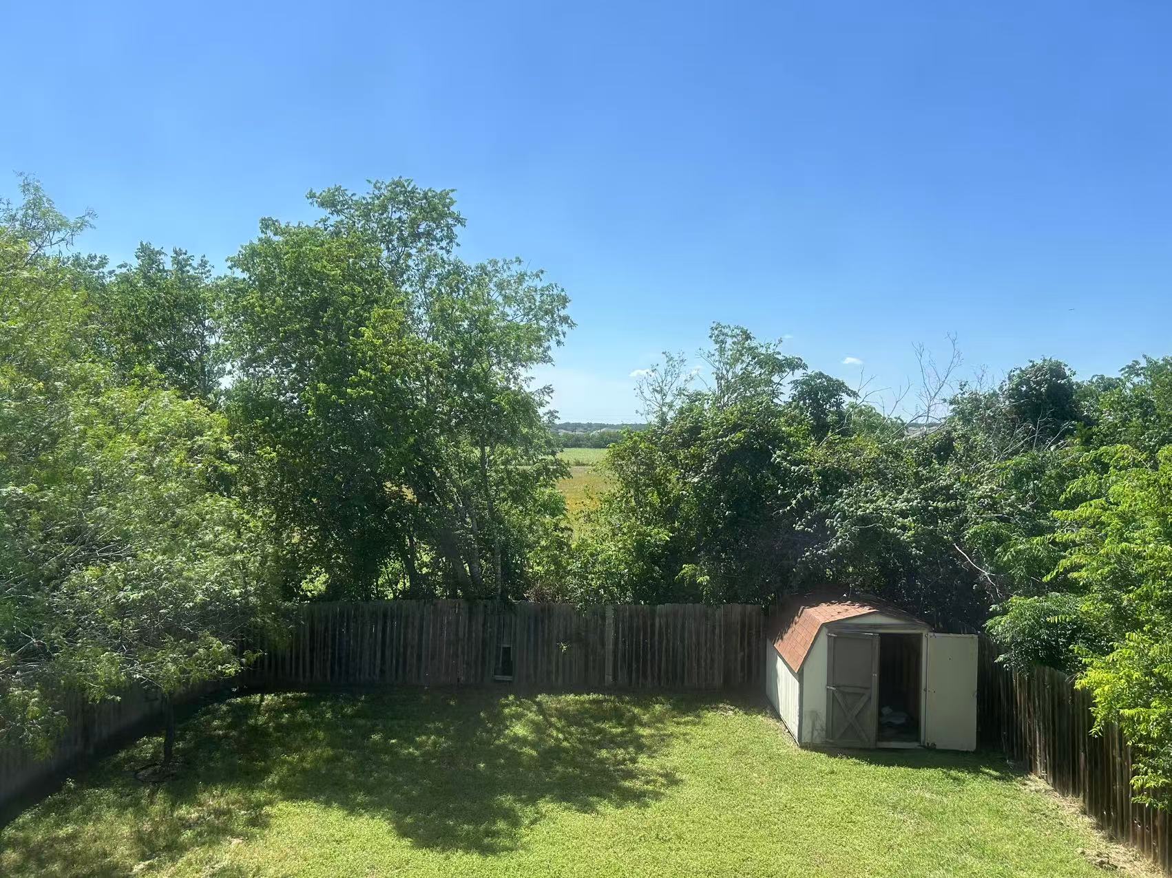 5608 Netleaf Road Austin, TX 78724 - Photo 24 of 26 A quaint backyard shed offers convenient storage amidst the vibrant green landscaping and natural fencing.