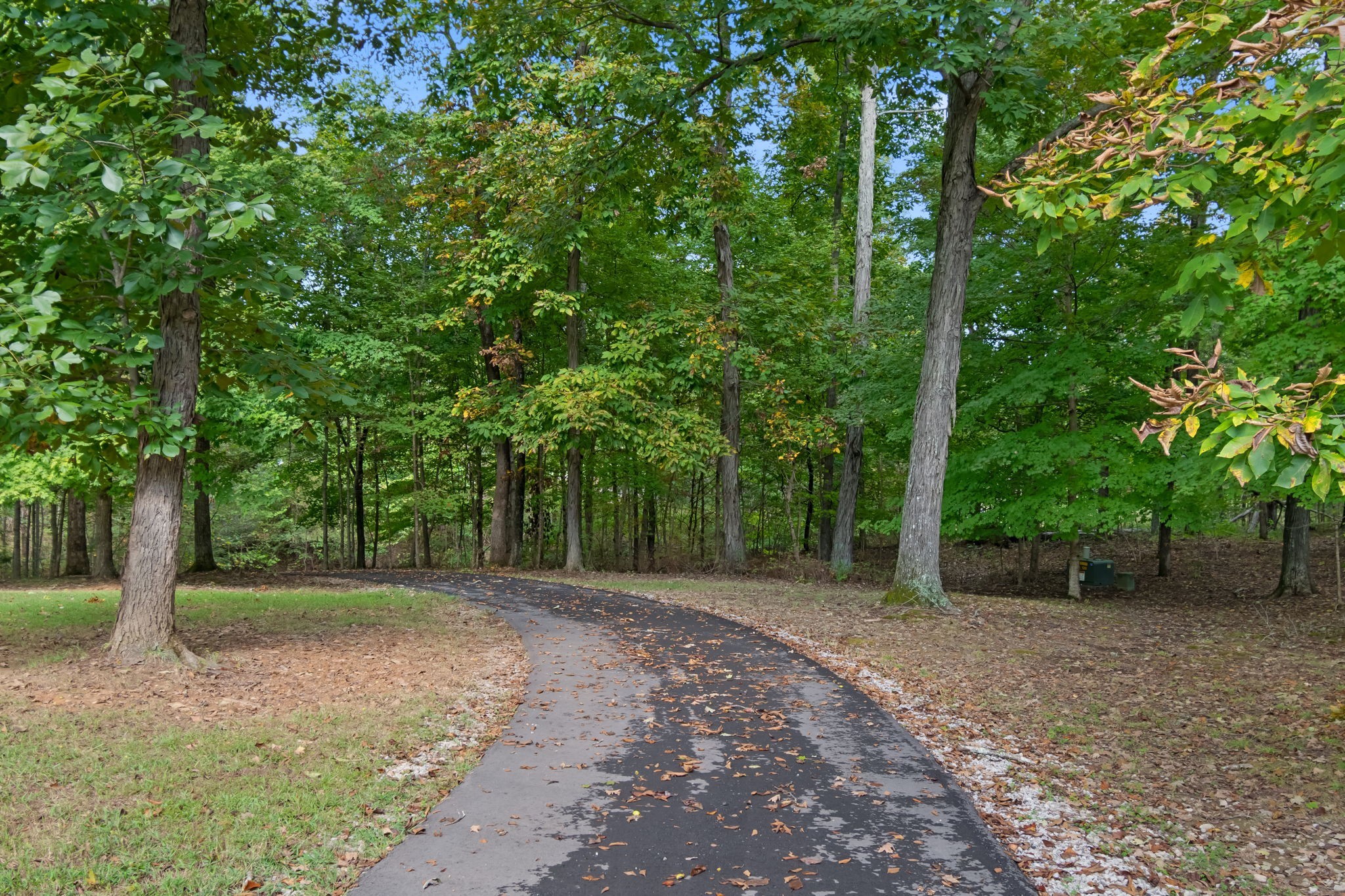 5756 Burgess Gower Road Pleasant View, TN 37146 - Photo 65 of 67 a view of a forest with trees