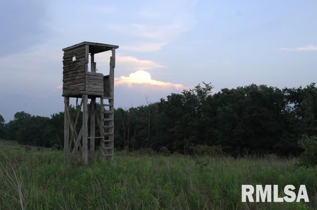 0 East Trigg Tower Road Simpson, IL 62985 - Photo 1 of 6