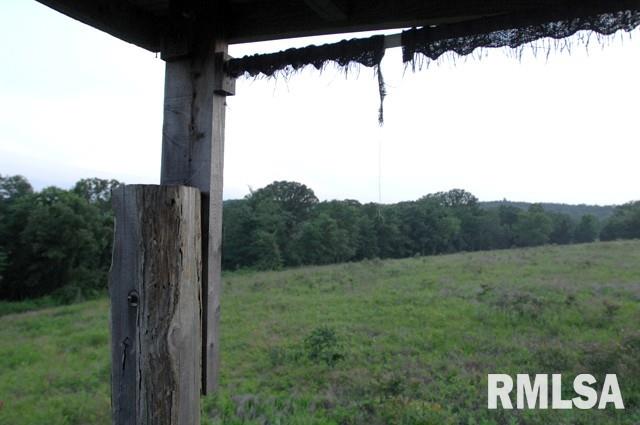 0 East Trigg Tower Road Simpson, IL 62985 - Photo 2 of 6