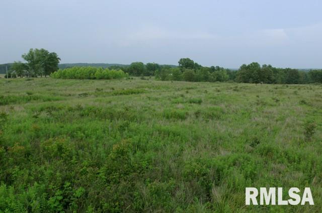 0 East Trigg Tower Road Simpson, IL 62985 - Photo 4 of 6