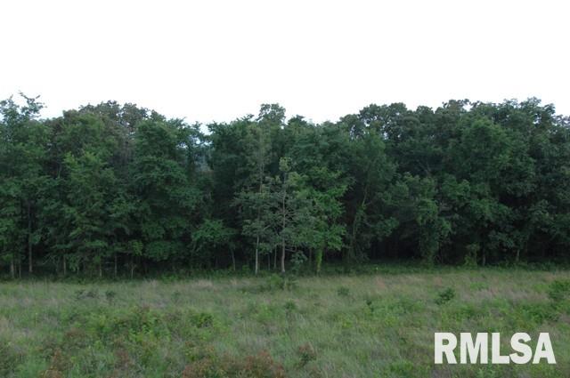 0 East Trigg Tower Road Simpson, IL 62985 - Photo 5 of 6