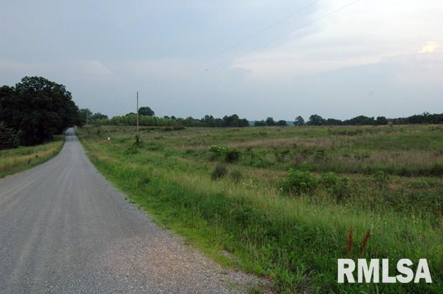 0 East Trigg Tower Road Simpson, IL 62985 - Photo 6 of 6