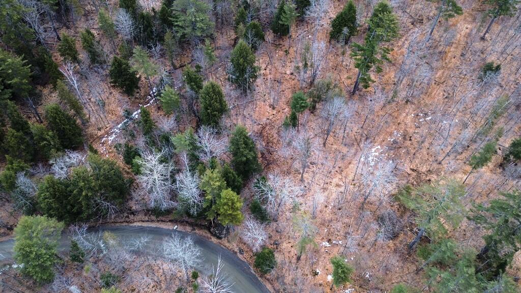 Lot 6 Peterson Road Dover-Foxcroft, ME 04426 - Photo 10 of 21 DJI_0022