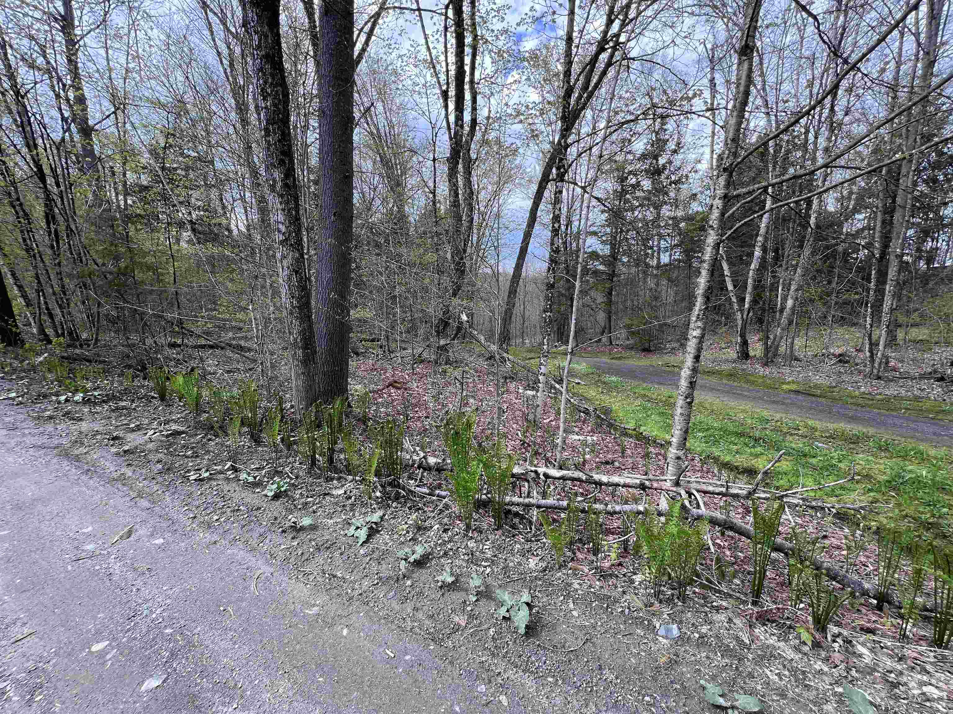 Tbd Rathburn Road East Calais, VT 05650 - Photo 31 of 40