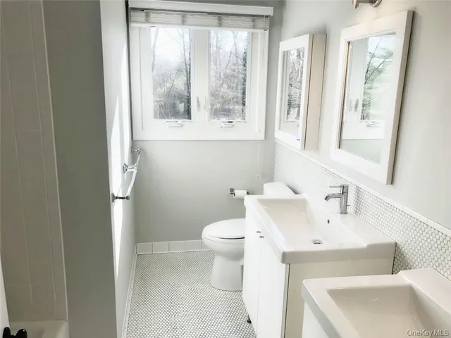 a bathroom with a sink and a toilet