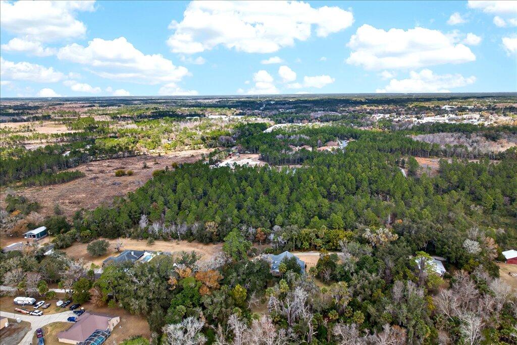 0 Old Haw Creek Road Bunnell, FL 32110 - Photo 20 of 22 20-DJI_0533