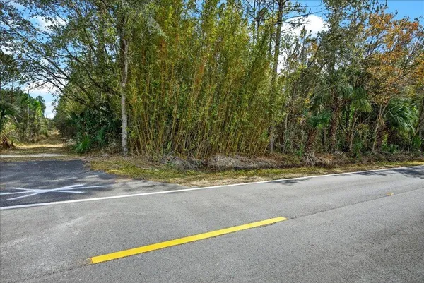 $1,199,000 | 0 Old Haw Creek Road, Bunnell, FL 32110