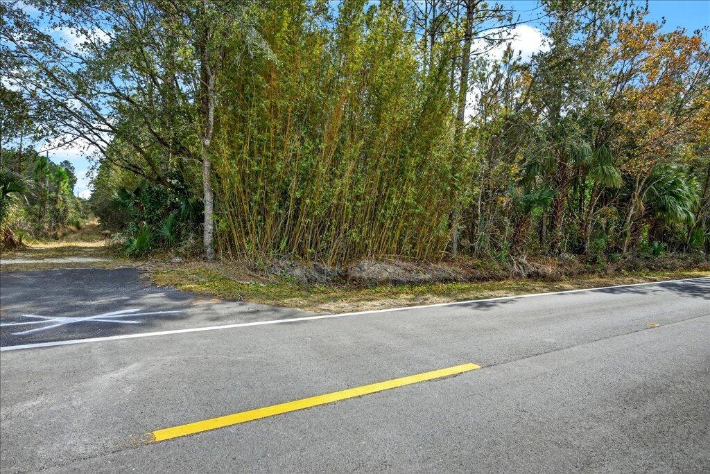0 Old Haw Creek Road Bunnell, FL 32110 - Photo 22 of 22 22-TAF1391