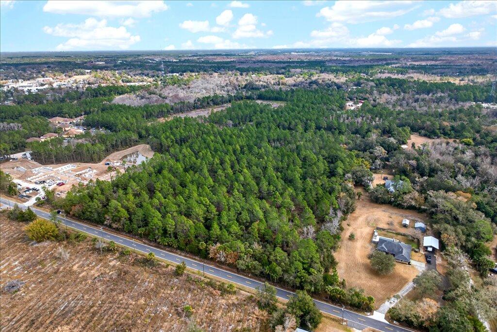 0 Old Haw Creek Road Bunnell, FL 32110 - Photo 7 of 22 07-DJI_0470