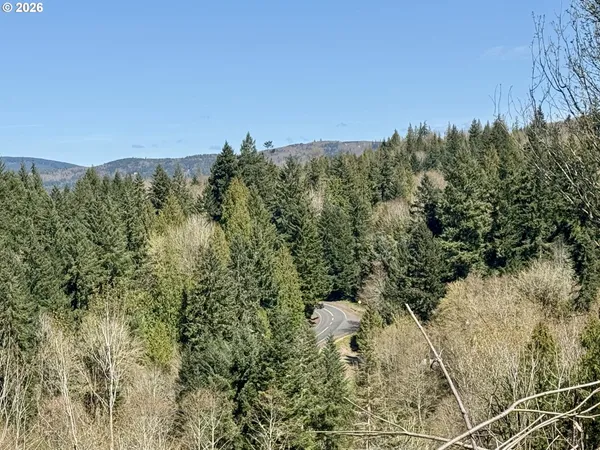 a view of a bunch of trees and bushes