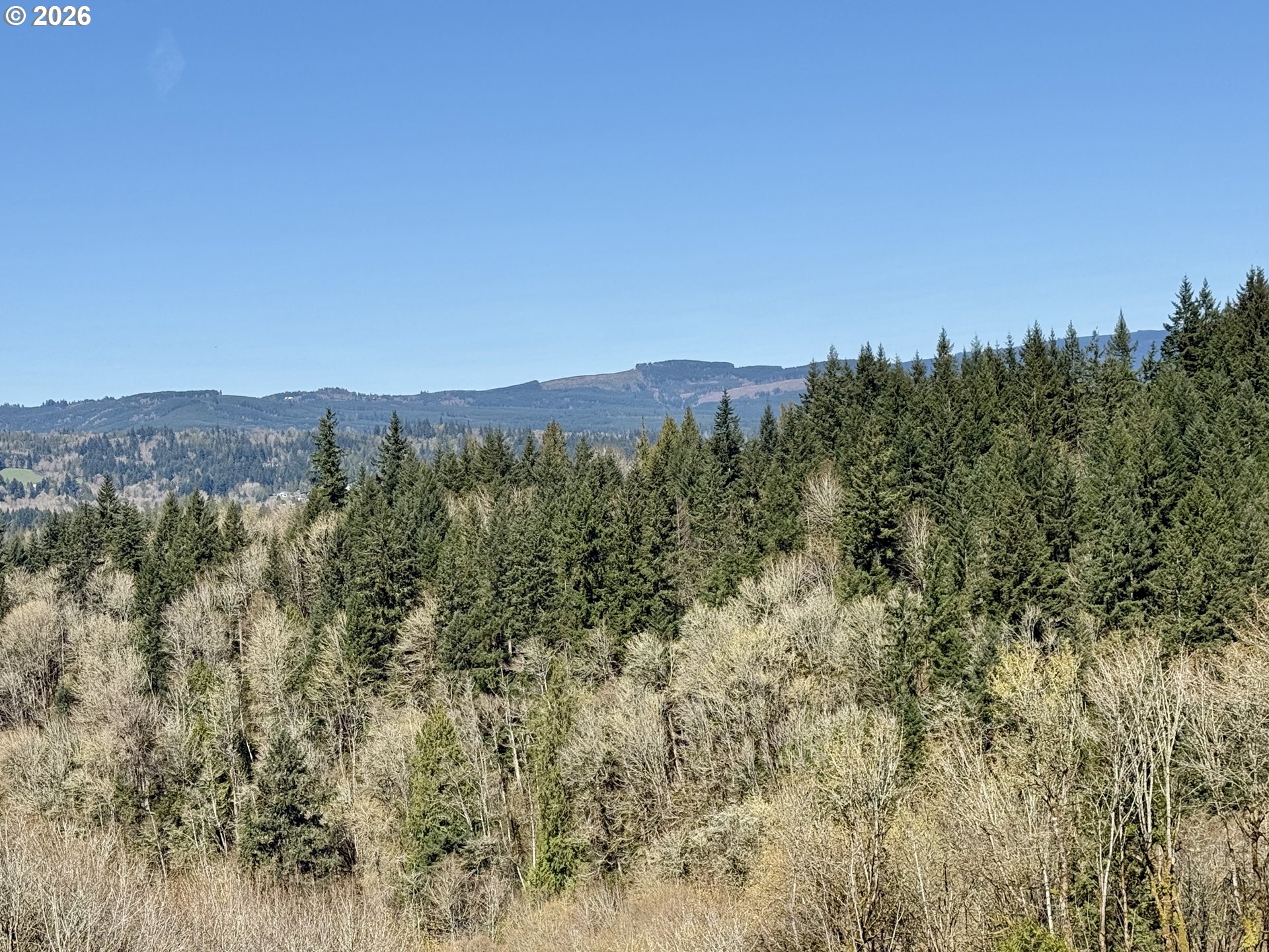 555 Kool Road Kelso, WA 98626 - Photo 18 of 34