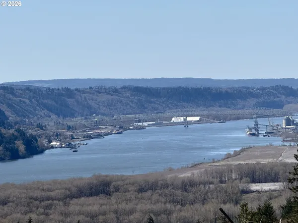 a view of a dry yard with trees