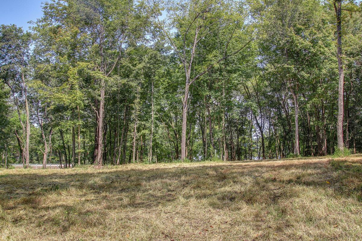 0 Burton Road Mount Juliet, TN 37122 - Photo 6 of 22 a view of outdoor space and yard