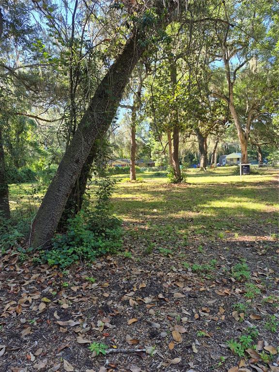 16615 Island Road Citra, FL 32113 - Photo 5 of 10
