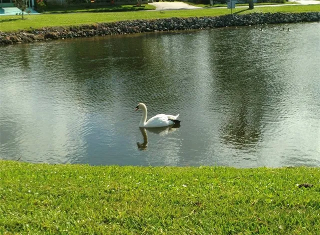 $129,900 | 7880 54th Avenue North, Unit 41, St. Petersburg, FL 33709