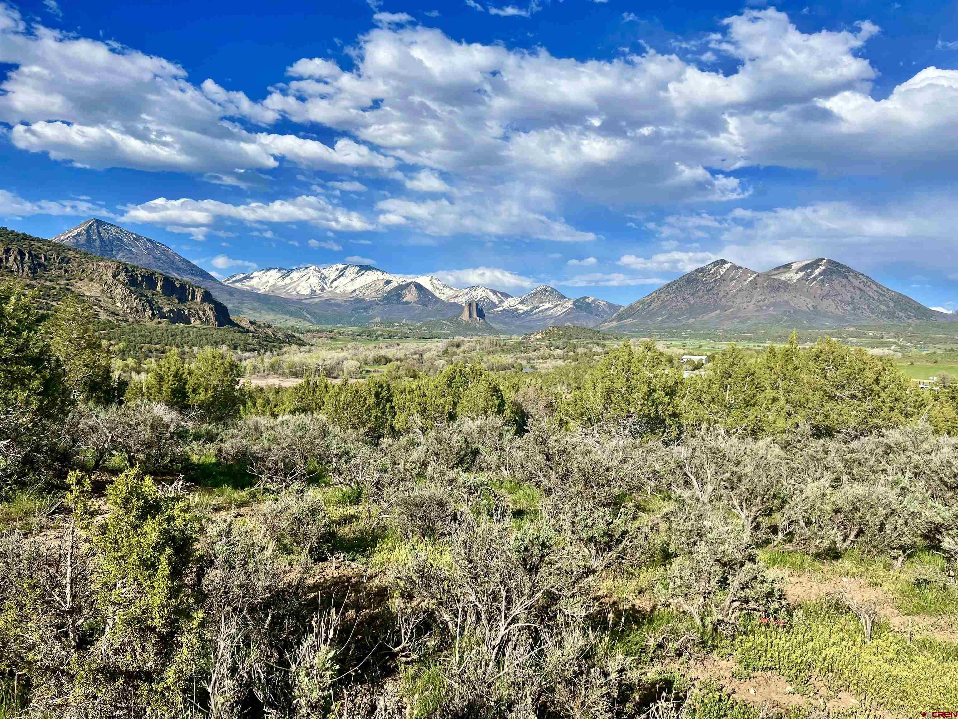 a view of a city with green space