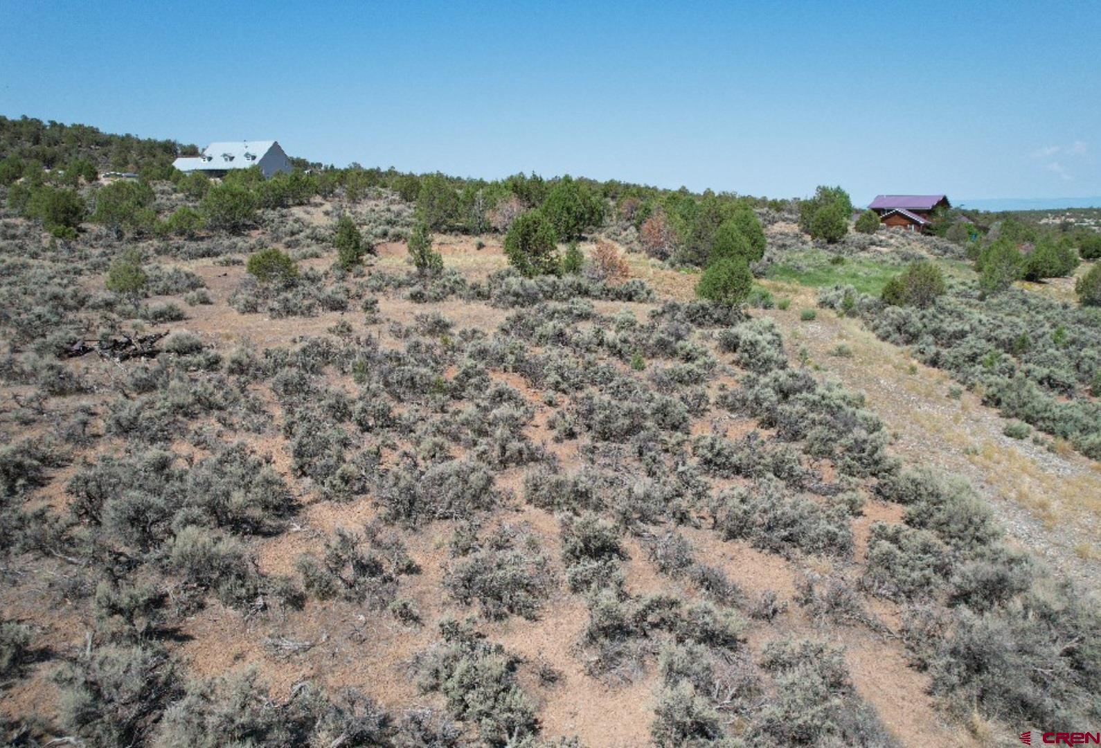 Lot 8 D Road Crawford, CO 81415 - Photo 11 of 18 a view of a forest with a forest