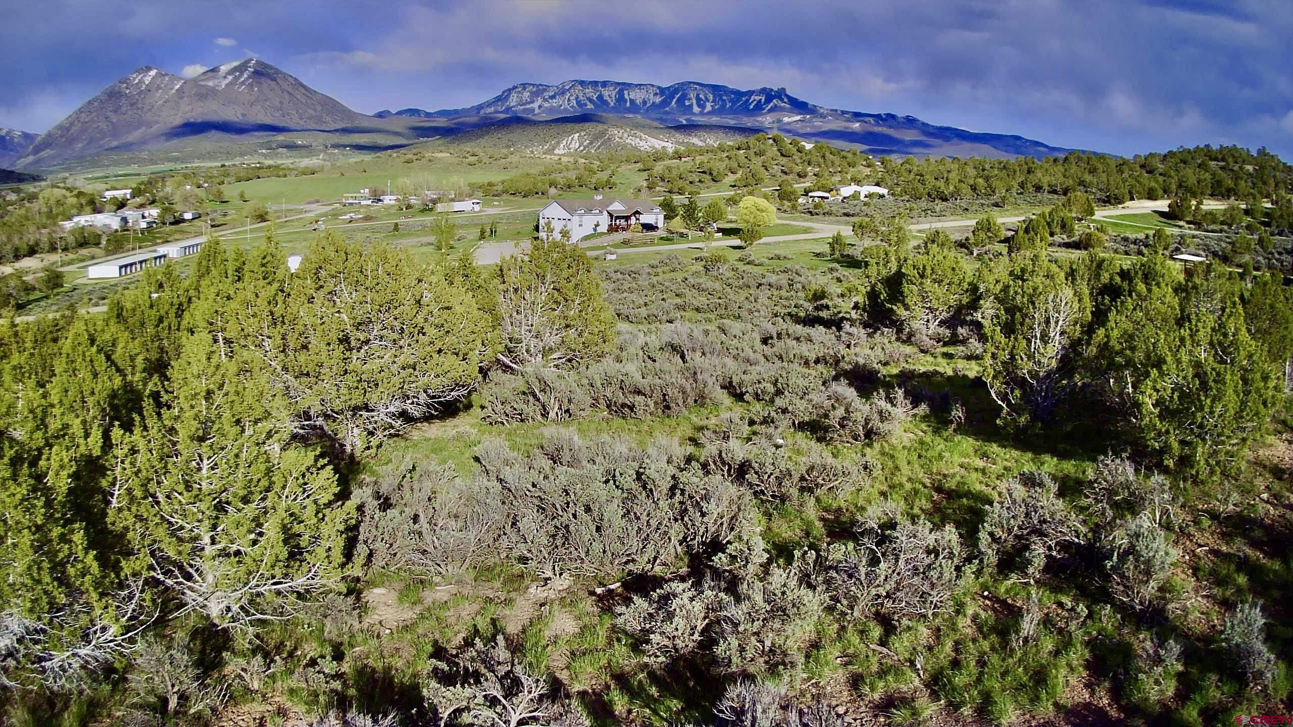 Lot 8 D Road Crawford, CO 81415 - Photo 13 of 18
