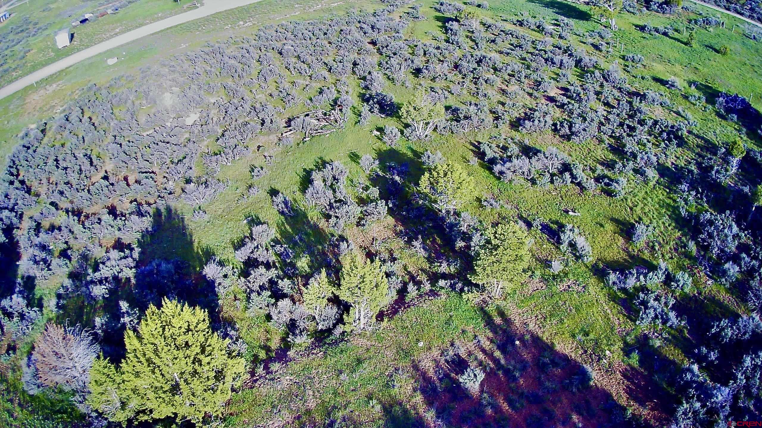 Lot 8 D Road Crawford, CO 81415 - Photo 14 of 18 a picture of flowers