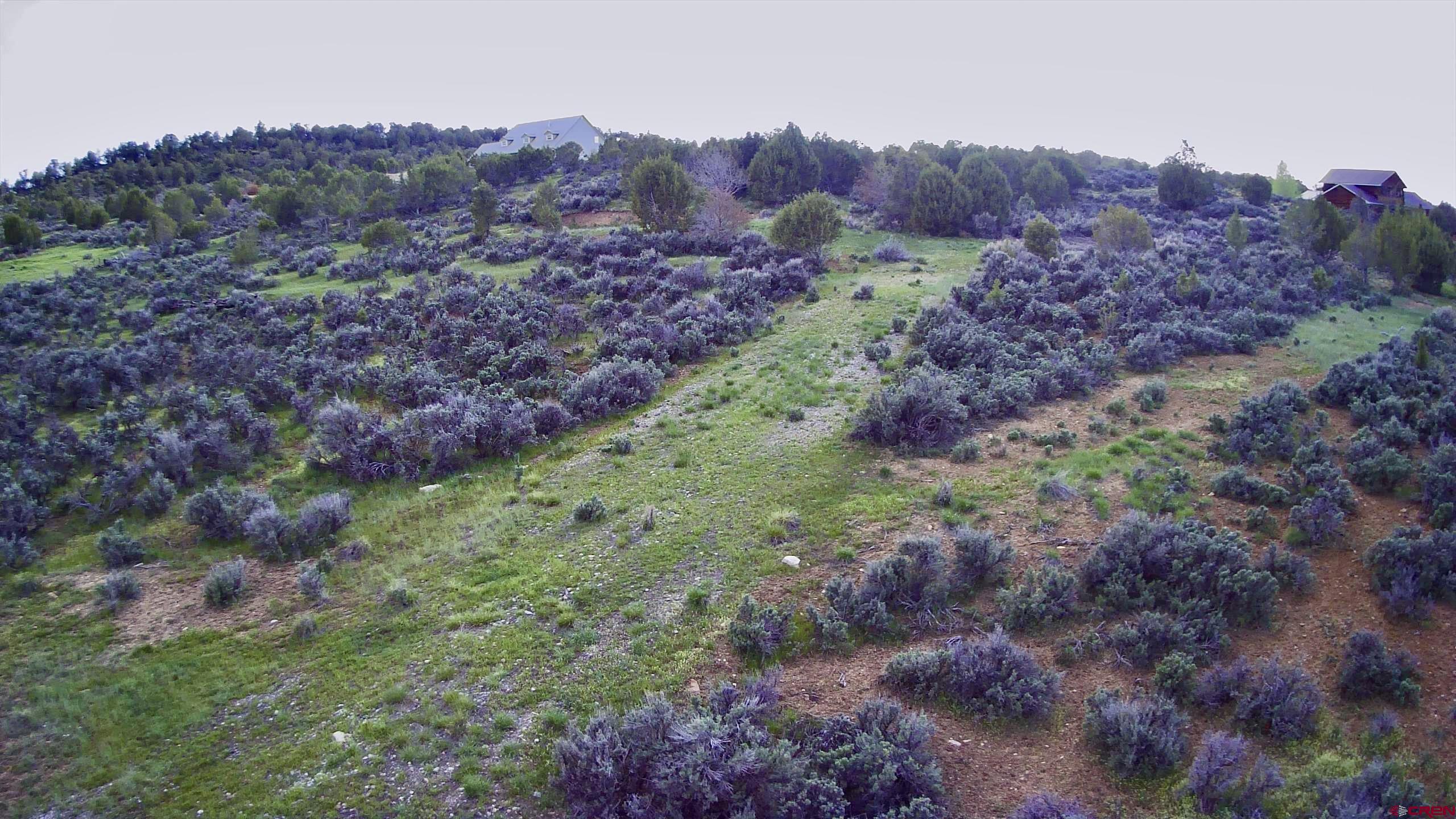 Lot 8 D Road Crawford, CO 81415 - Photo 15 of 18 a view of a lush green field