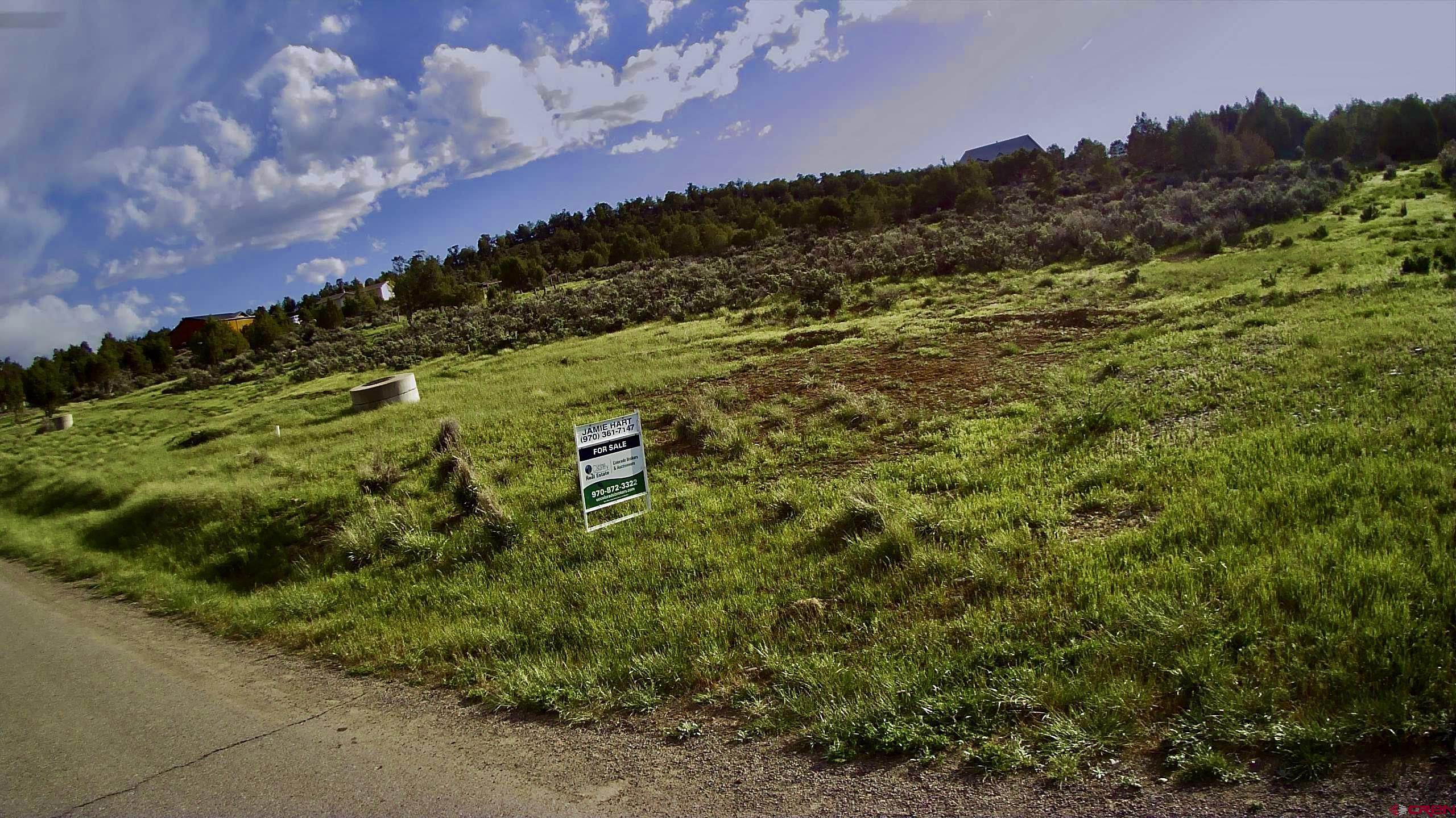 Lot 8 D Road Crawford, CO 81415 - Photo 2 of 18 a view of a bunch of trees