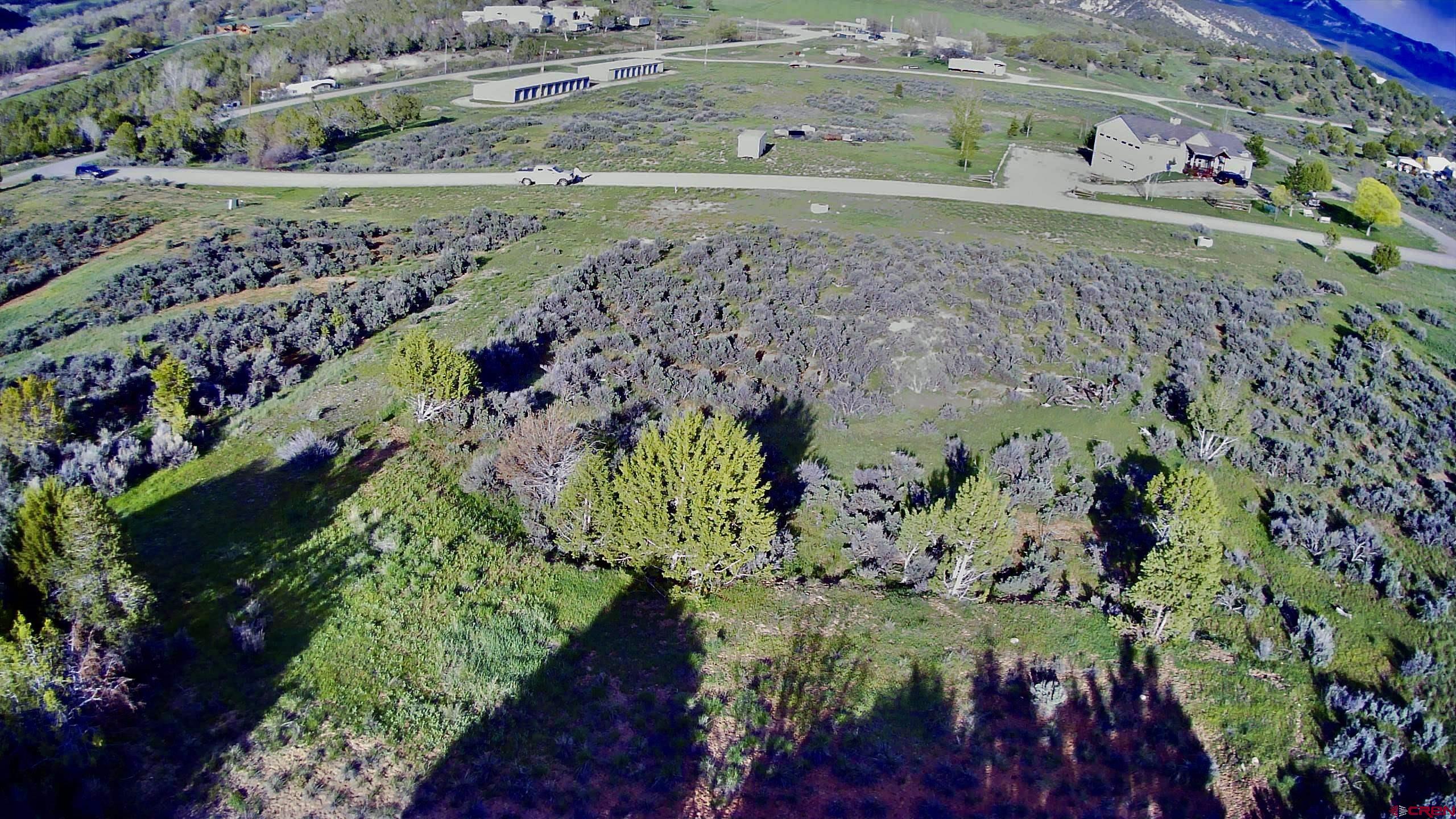 Lot 8 D Road Crawford, CO 81415 - Photo 5 of 18 a view of a garden with a lot of flower around