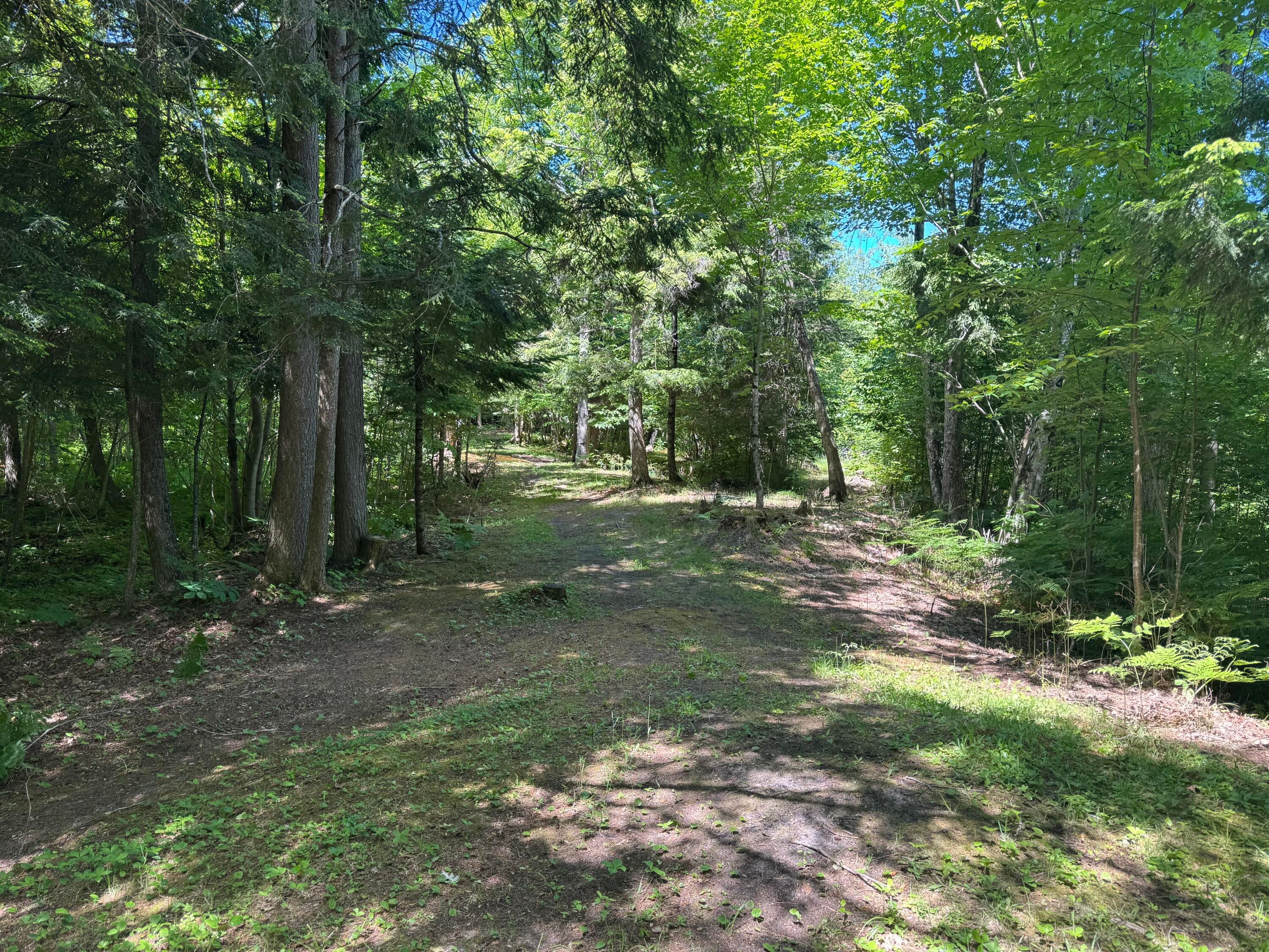W15858 Sandtown Road Curtis, MI 49820 - Photo 31 of 32 Gallery Image 31