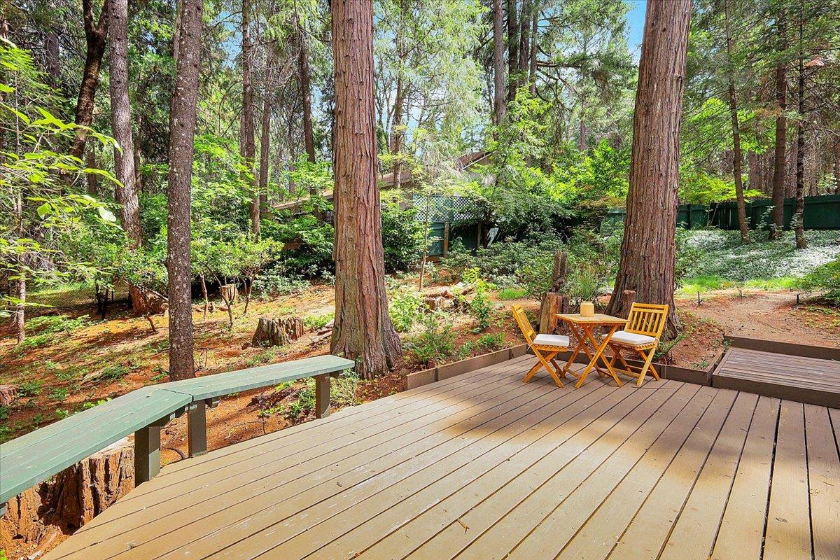12593 Red Dog Road Nevada City, CA 95959 - Photo 11 of 41