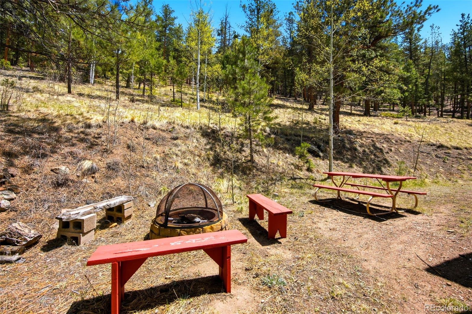 652 Payne Gulch Road Bailey, CO 80421 - Photo 26 of 33