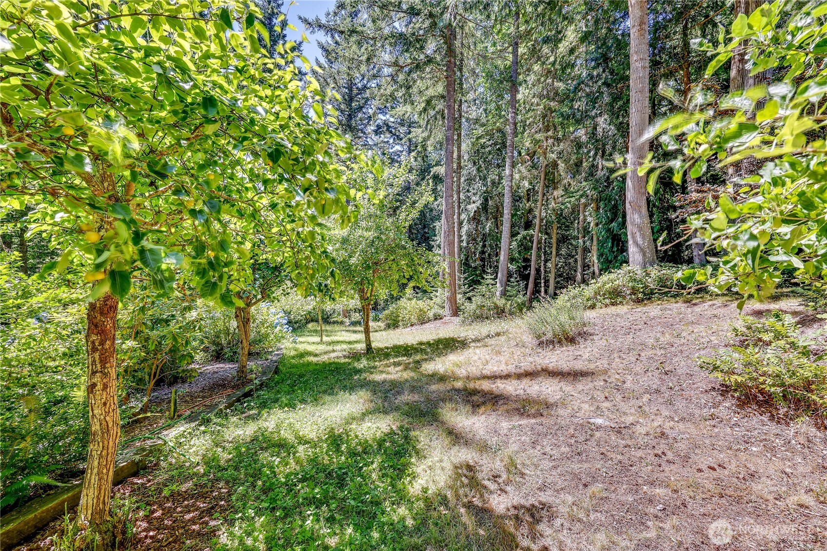11 Bishop Hill Road Chimacum, WA 98325 - Photo 28 of 34 a green field with lots of trees