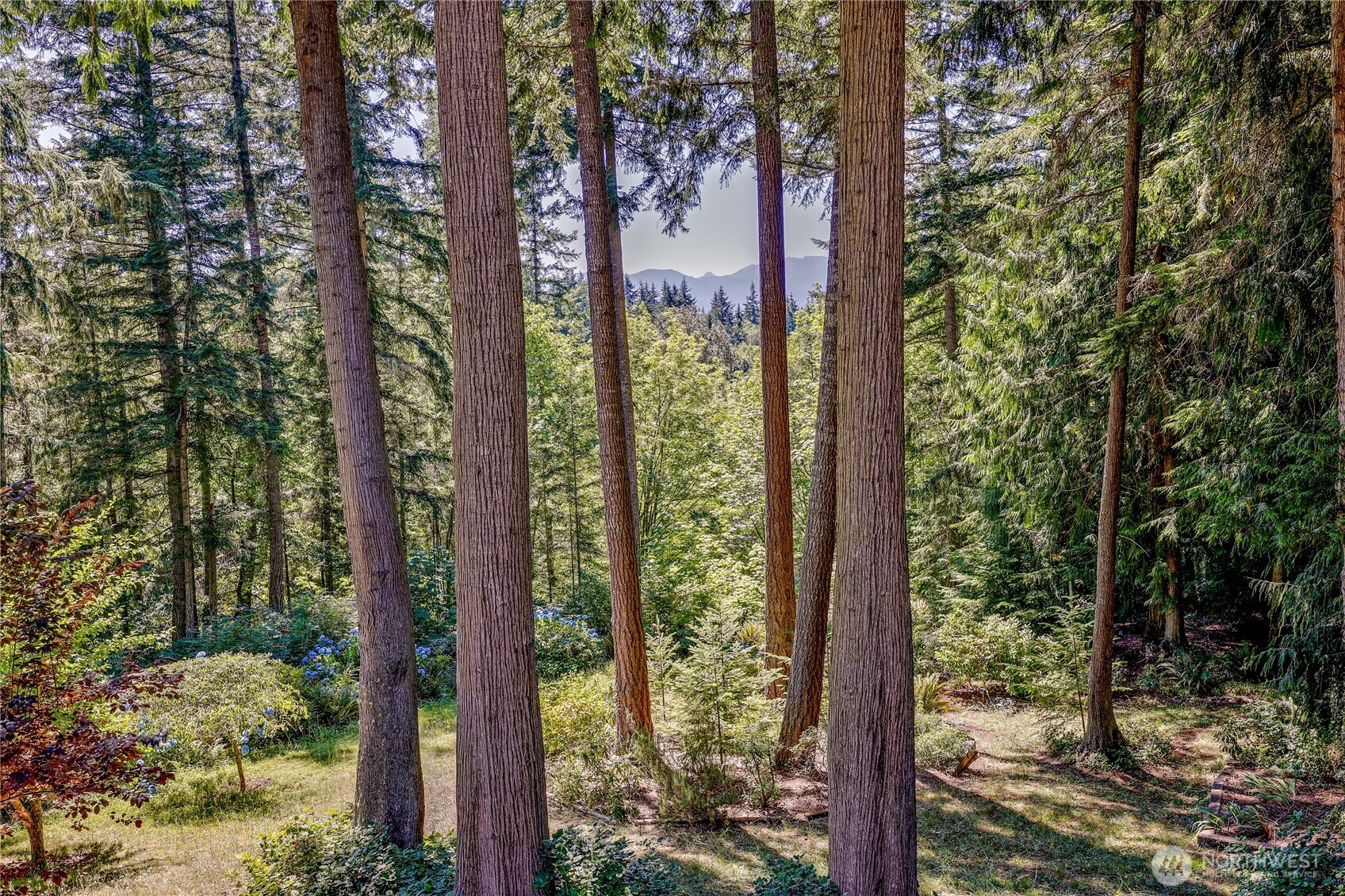 11 Bishop Hill Road Chimacum, WA 98325 - Photo 30 of 34 a view of a city from a corridor