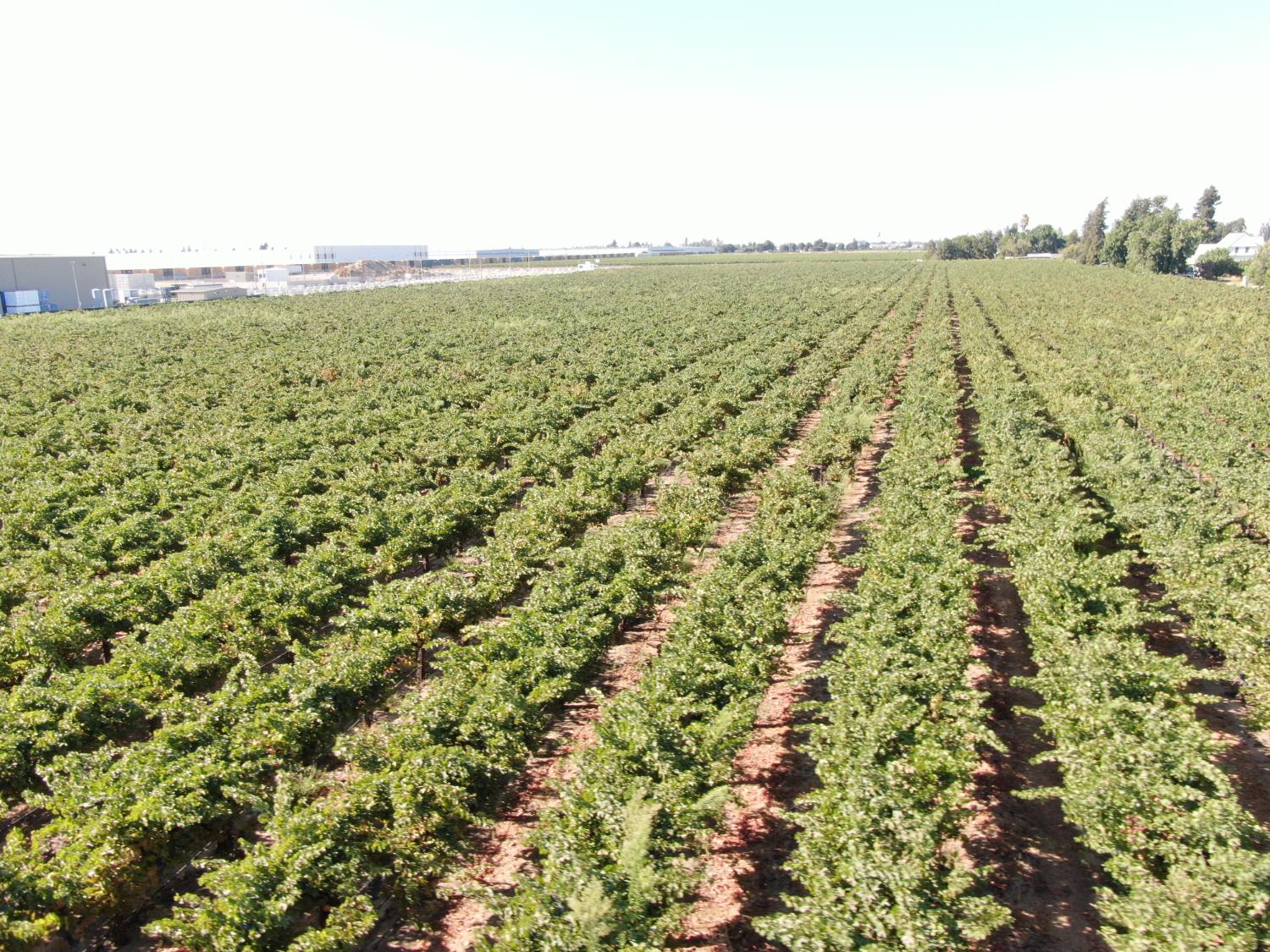 15155 Curry Avenue Lodi, CA 95240 - Photo 4 of 7 a view of a city