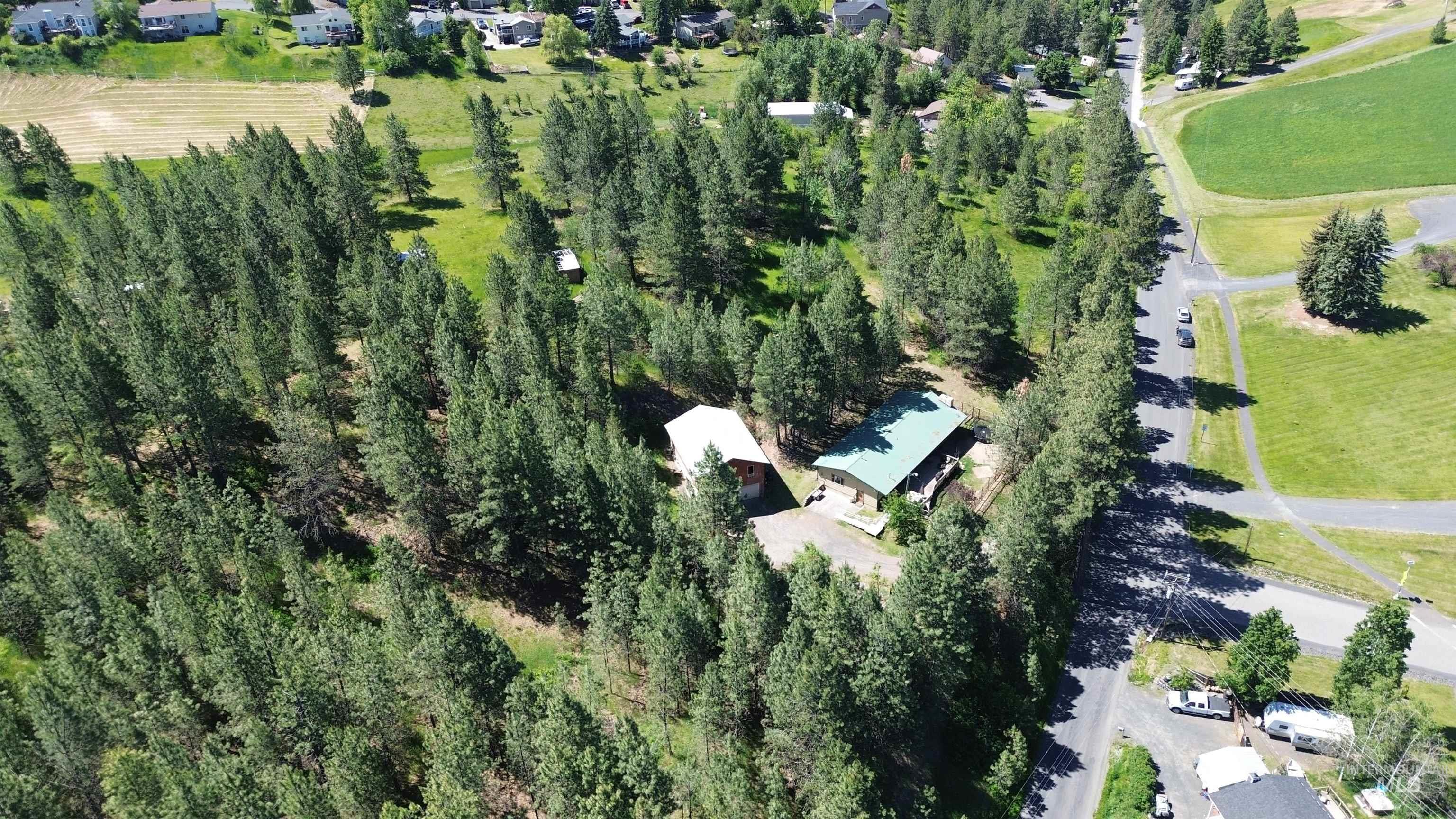 334 Big Meadow Road Troy, ID 83871 - Photo 8 of 36