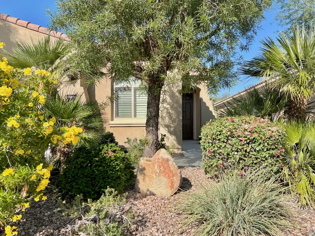 a view of a house with a tree