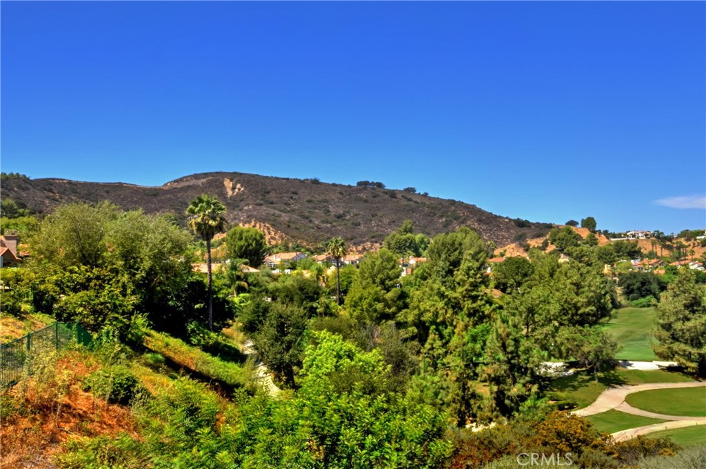 3619 Cll Joaquin Calabasas, CA 91302 - Photo 17 of 42 a view of a large tree