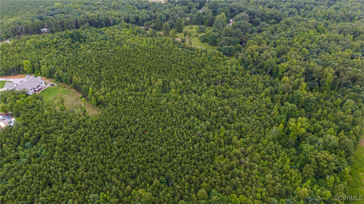 0 Wickham Road Bumpass, VA 23024 - Photo 16 of 16 a view of a lush green forest