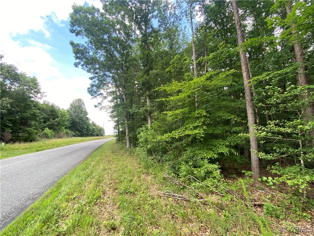 0 Wickham Road Bumpass, VA 23024 - Photo 4 of 16 a view of a yard with a tree