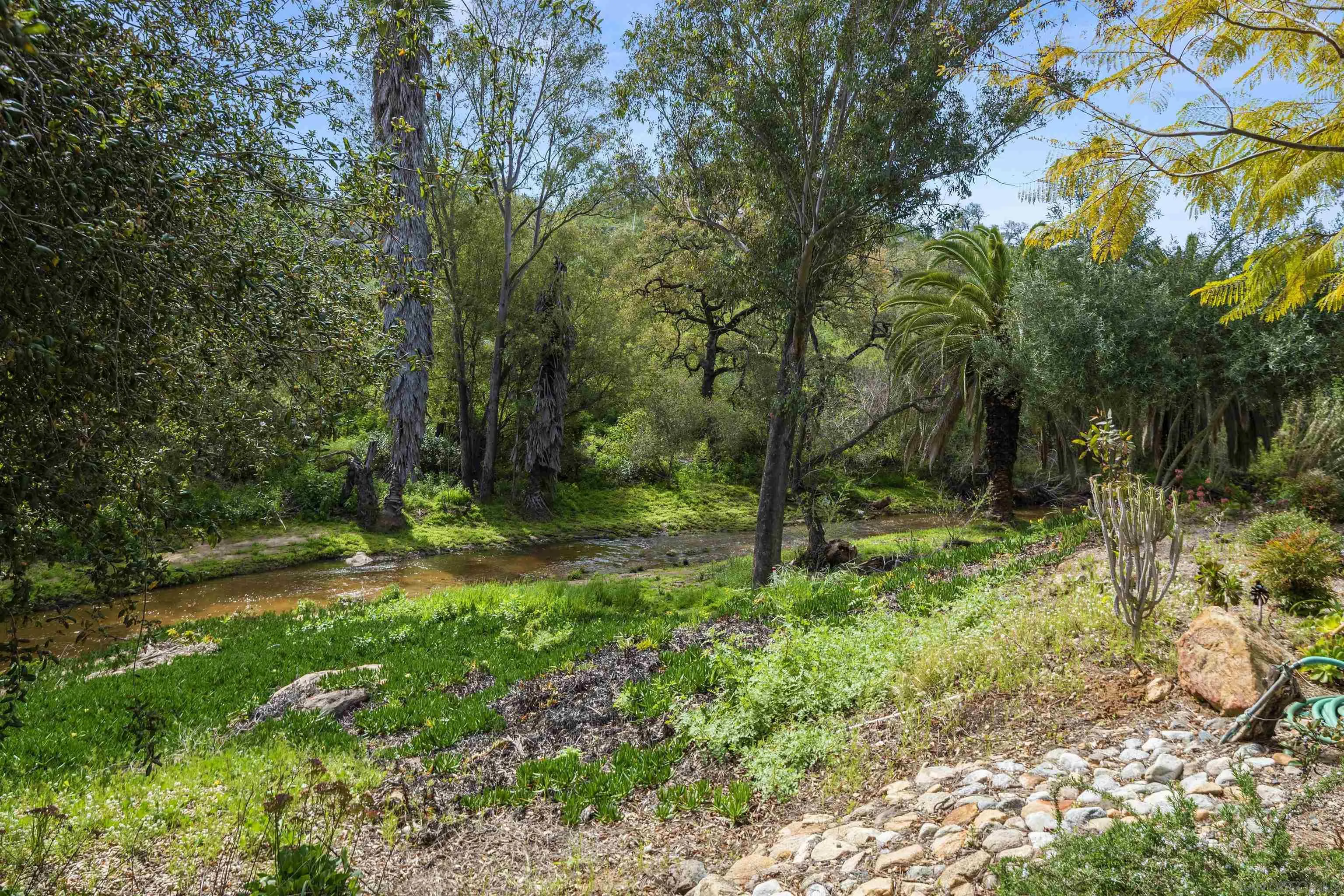 4747 Oak Crest Road, Unit 19 Fallbrook, CA 92028 - Photo 49 of 53 a big yard with lots of green space and deers