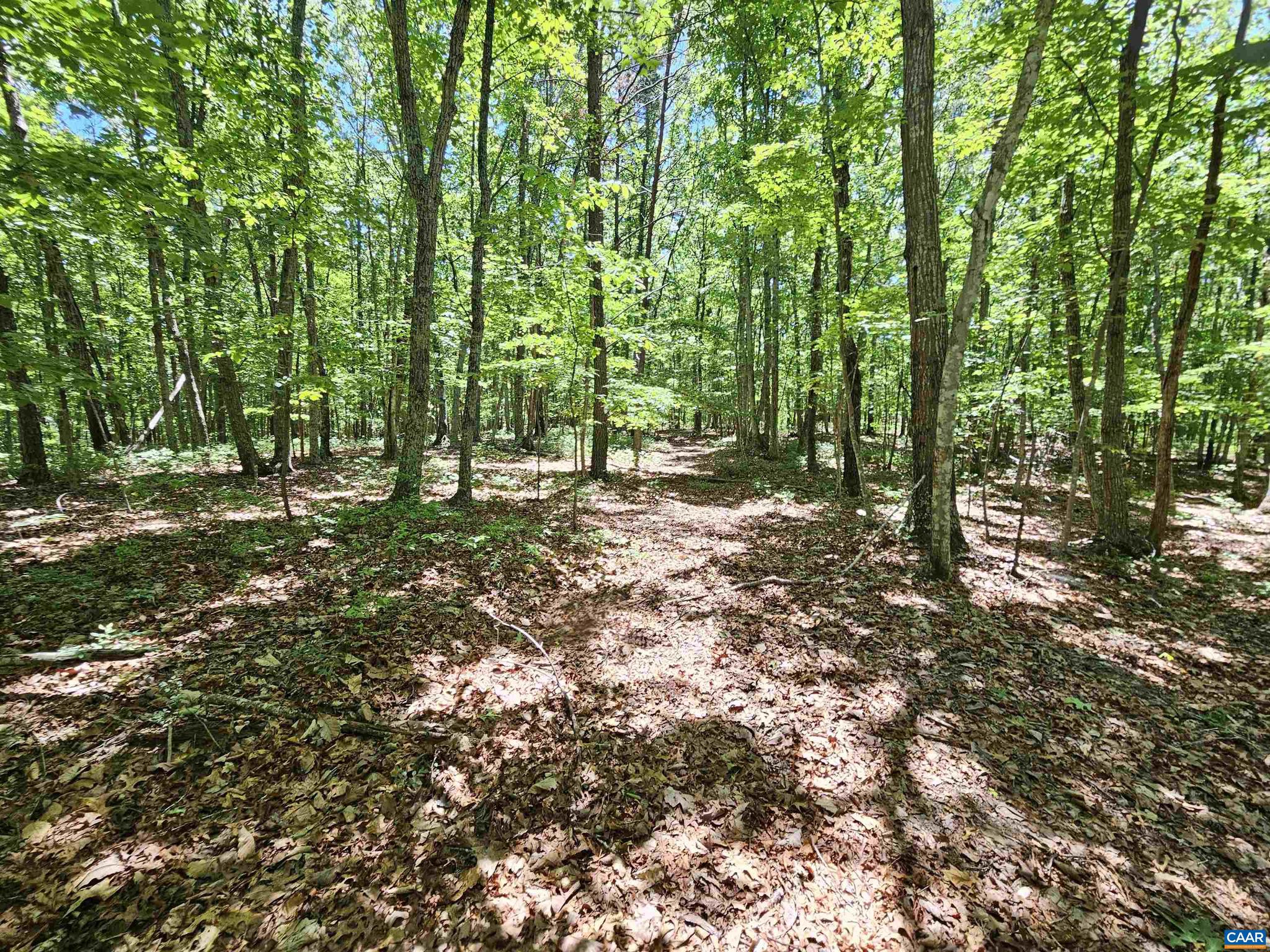 Manteo Road, Unit 2 Buckingham, VA 23921 - Photo 17 of 19