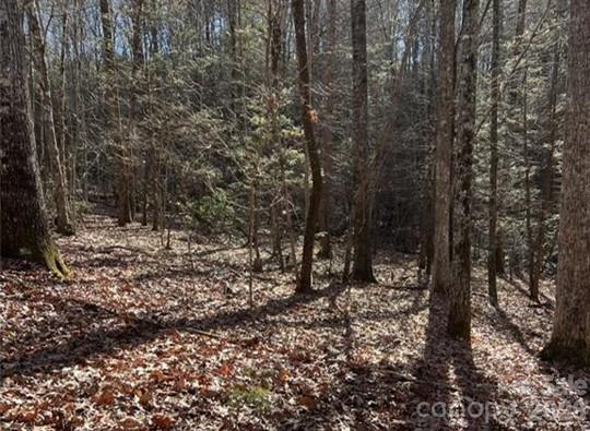 0 Twin Maple Way, Unit 5 Mill Spring, NC 28756 - Photo 2 of 15
