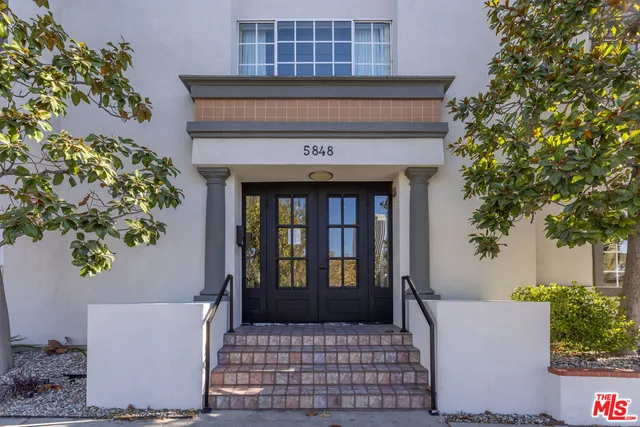 a living room with furniture and potted plant