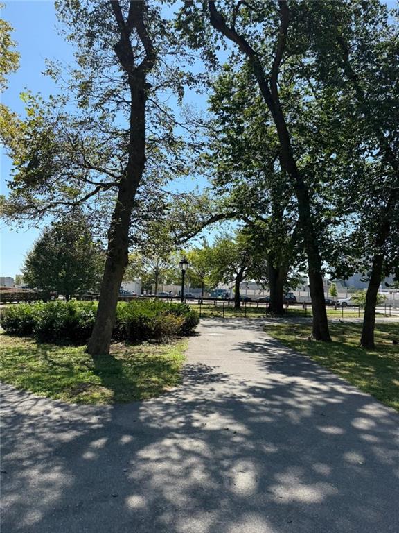 601 Surf Avenue, Unit 20J Brooklyn, NY 11224 - Photo 28 of 46 a view of a yard with a tree
