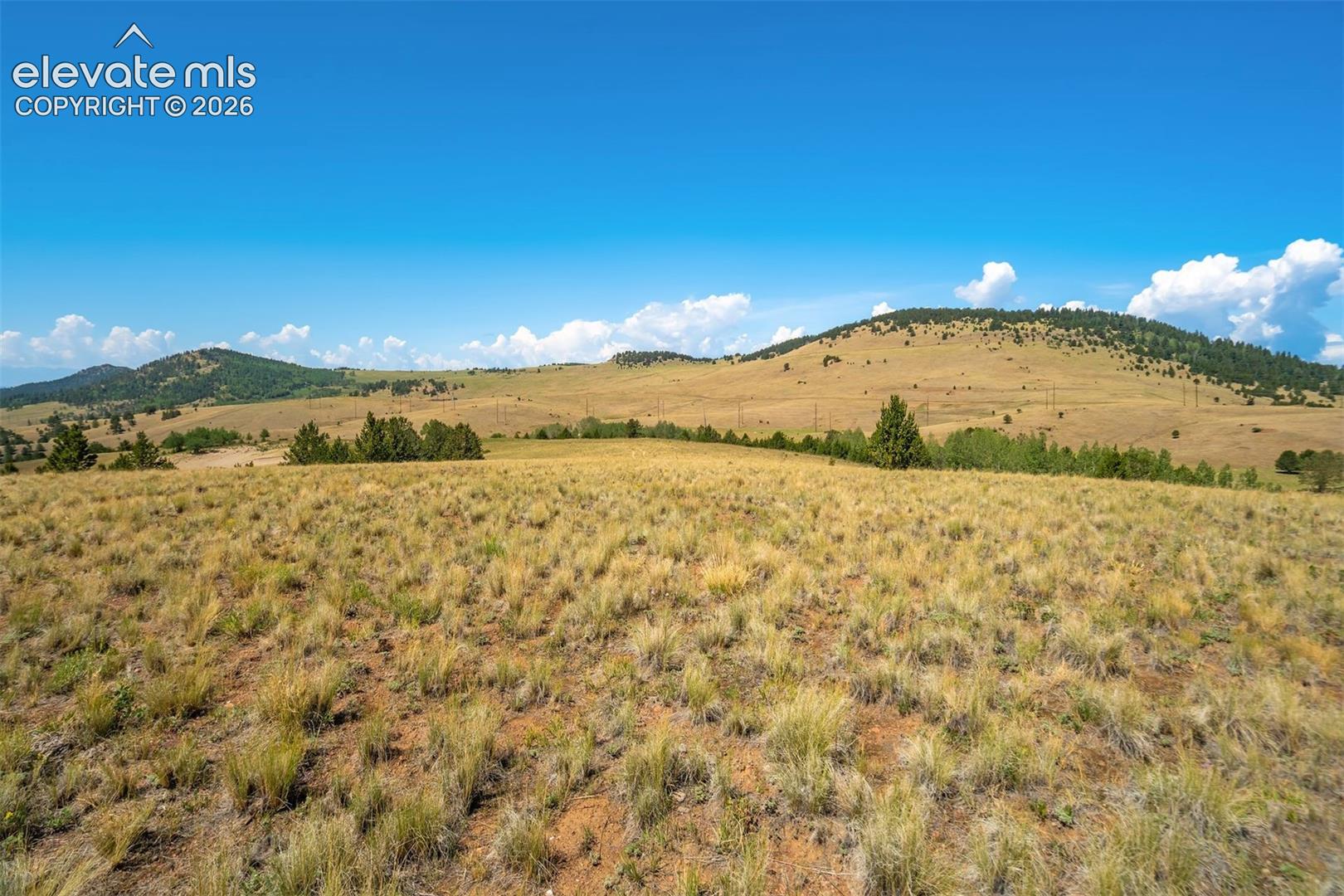 86 County Road Victor, CO 80860 - Photo 45 of 50 Gallery Image 45