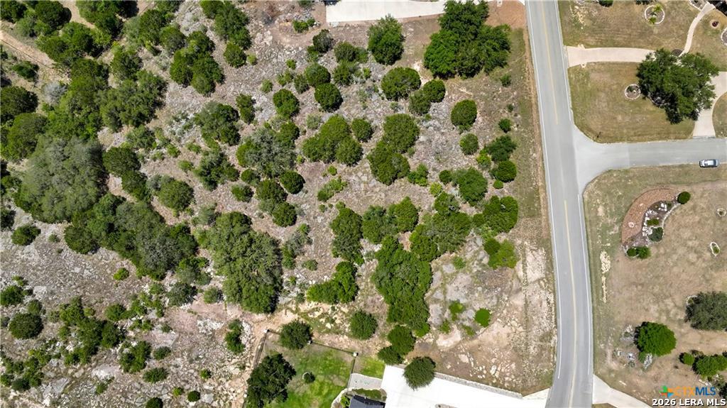 523 Mystic Parkway Spring Branch, TX 78070 - Photo 11 of 15